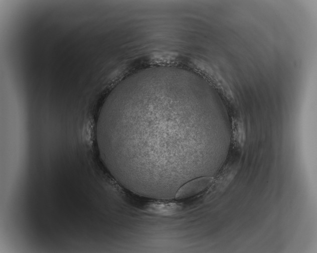 X0000102460712200808151407