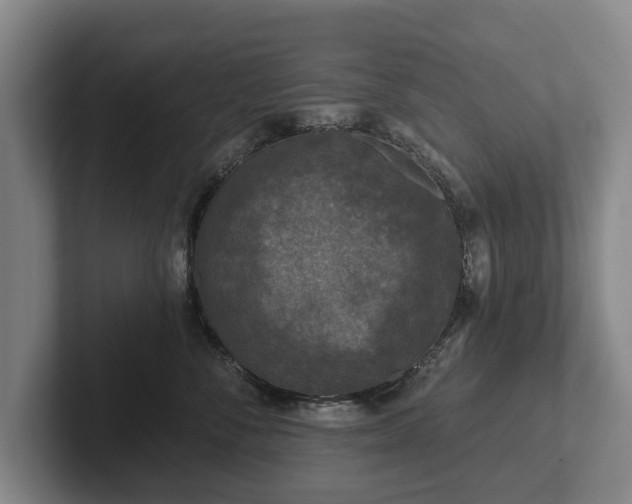 X0000102460716200808151407