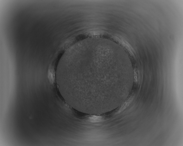 X0000102460718200808151407