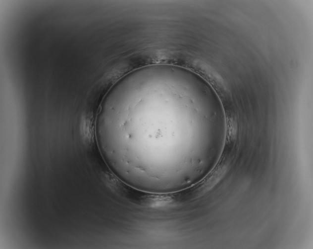 X0000102460719200808151407