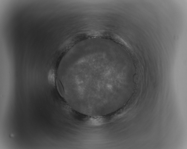 X0000102460720200808151407