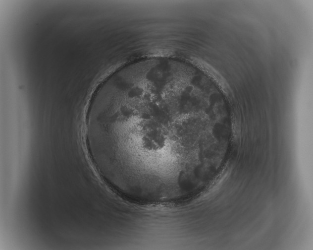 X0000102460721200808151407