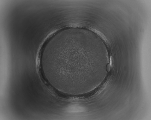 X0000102460723200808151407