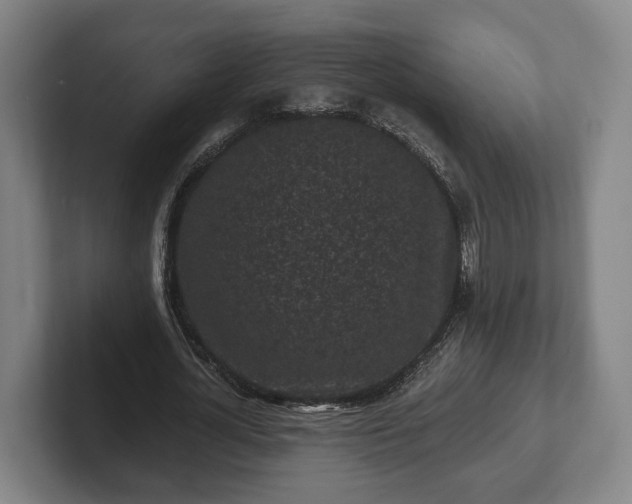 X0000102460724200808151407