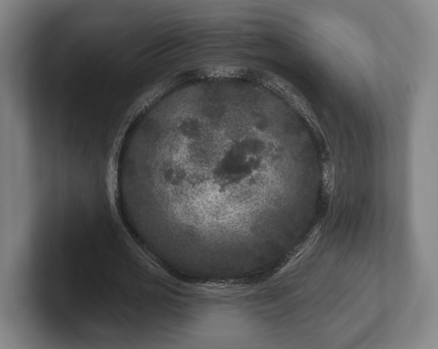 X0000102460725200808151407