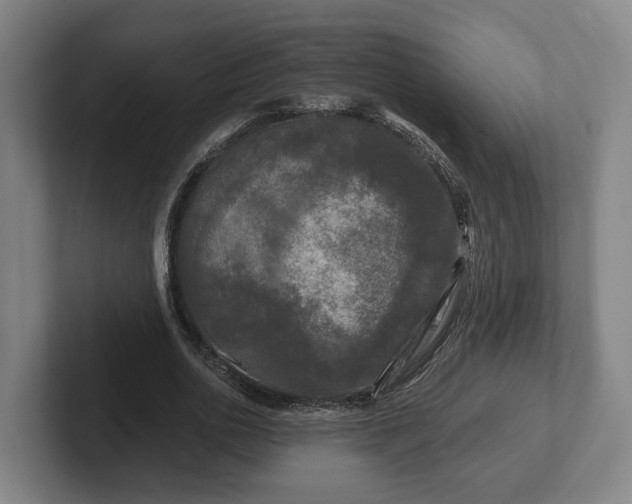 X0000102460726200808151407