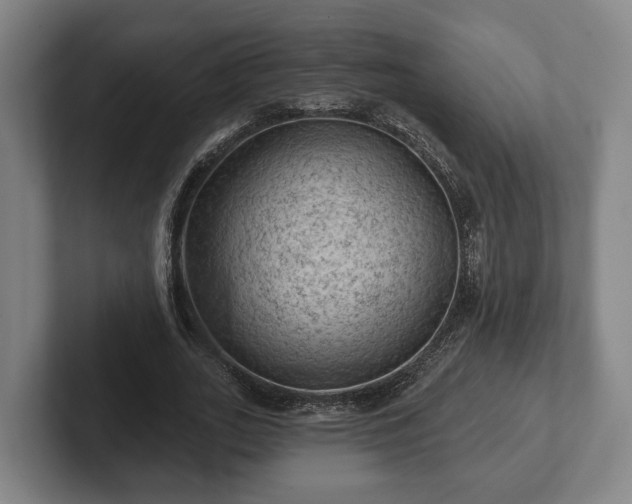 X0000102460727200808151407