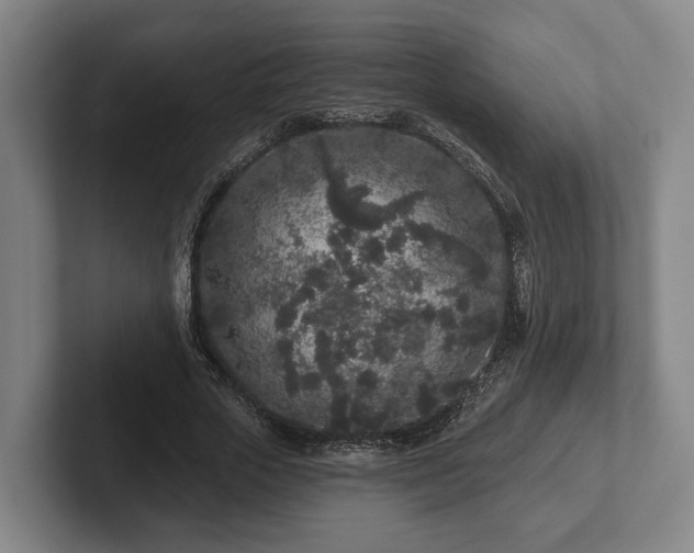 X0000102460729200808151407