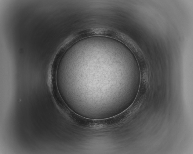 X0000102460730200808151407