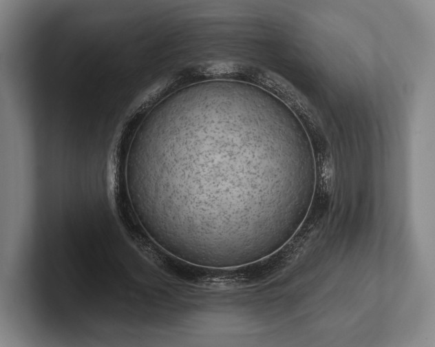 X0000102460732200808151407