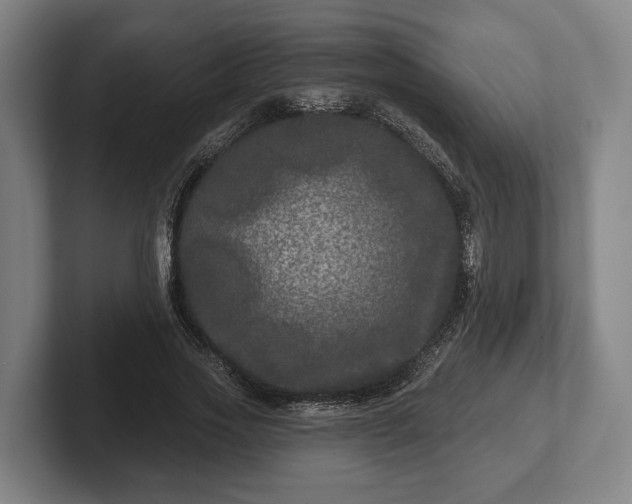 X0000102460733200808151407