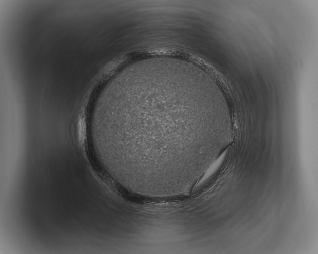 X0000102460734200808151407