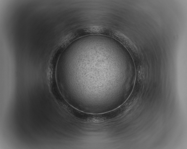 X0000102460739200808151407