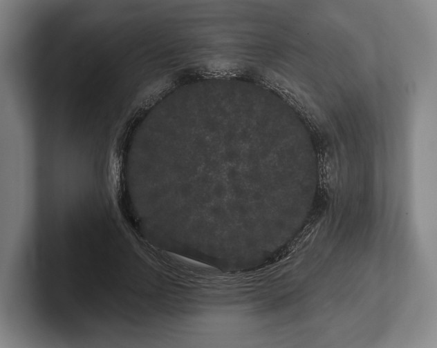 X0000102460742200808151407