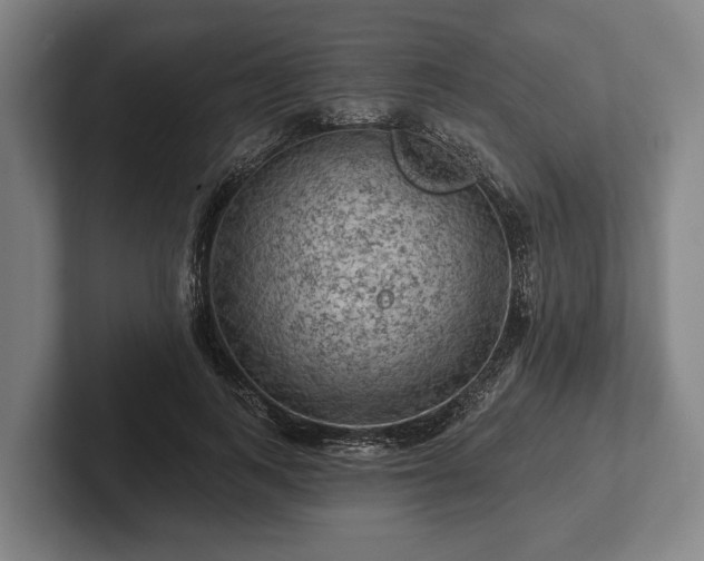 X0000102460743200808151407