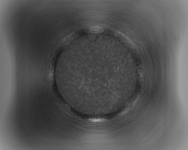 X0000102460745200808151407