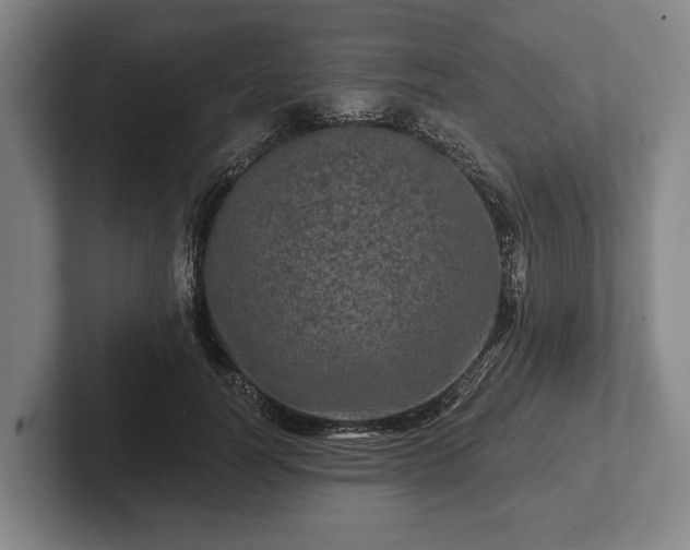 X0000102460746200808151407