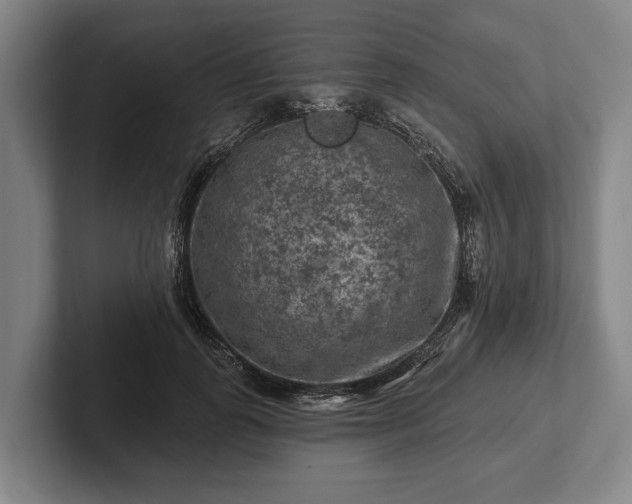 X0000102460747200808151407