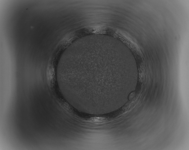 X0000102460748200808151407