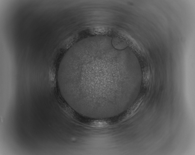 X0000102460749200808151407