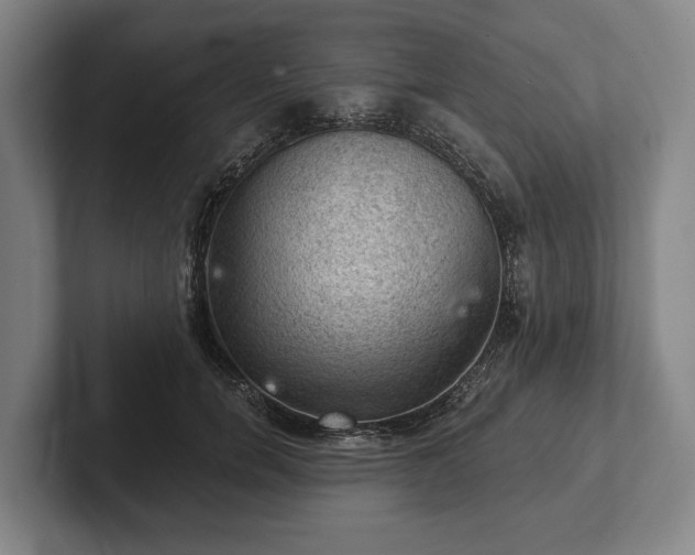 X0000102460750200808151407