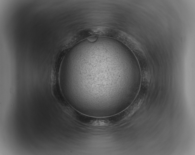 X0000102460751200808151407