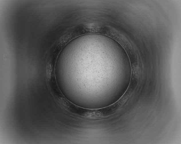 X0000102460752200808151407