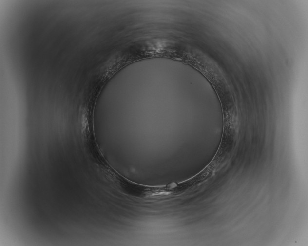 X0000102460754200808151407