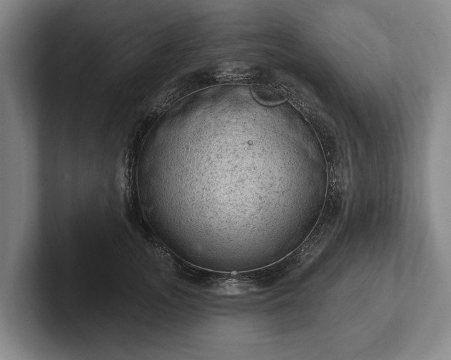 X0000102460755200808151407