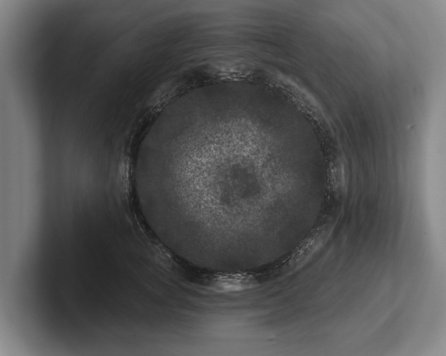 X0000102460757200808151407