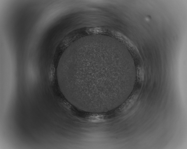 X0000102460760200808151407