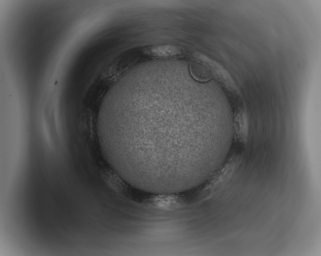 X0000102460762200808151407