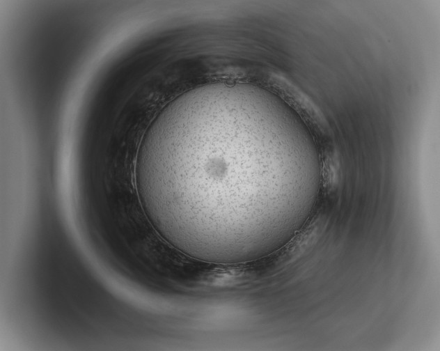 X0000102460764200808151407