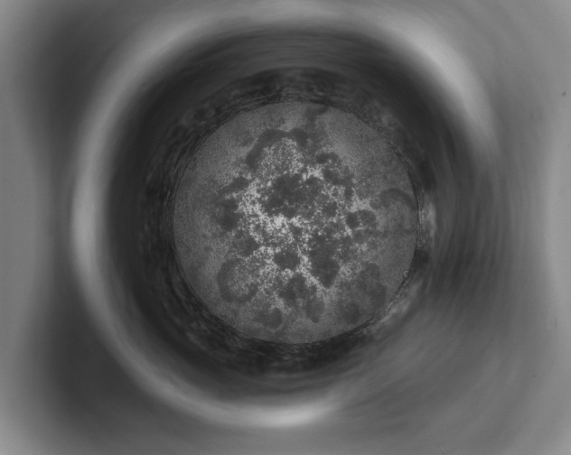 X0000102460765200808151407