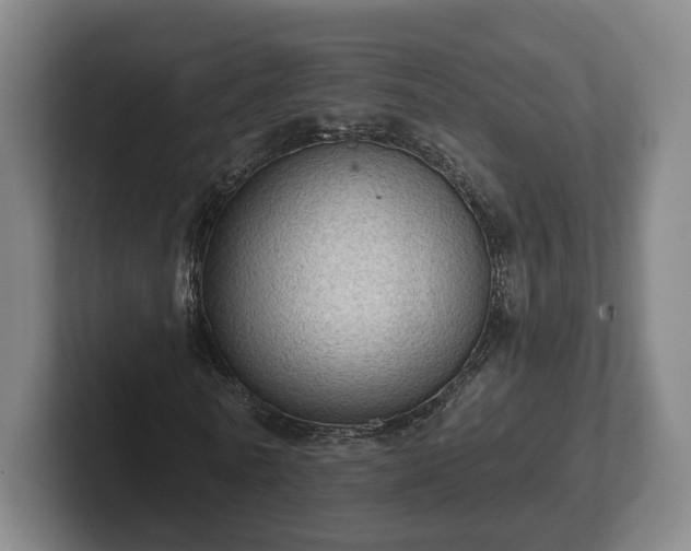 X0000102460770200808151406