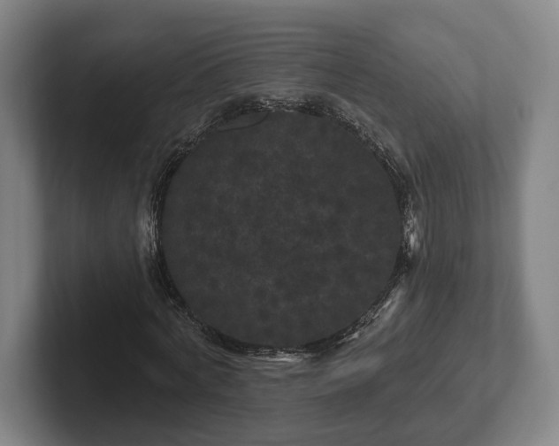 X0000102460772200808151406