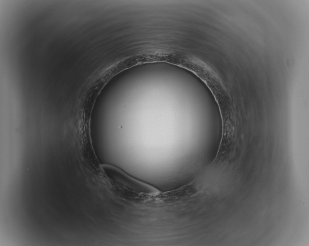 X0000102460773200808151406