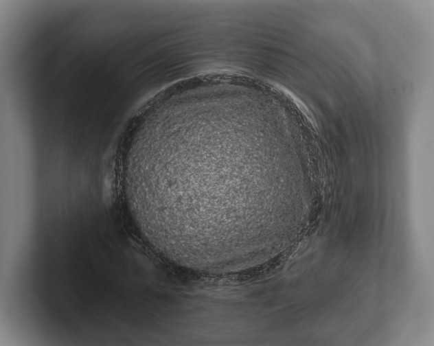 X0000102460775200808151406