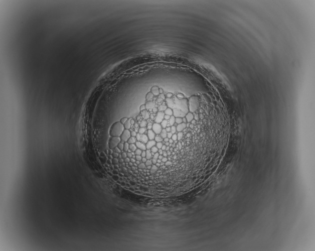 X0000102460776200808151406