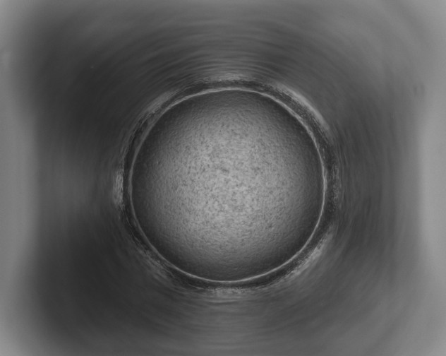 X0000102460777200808151406