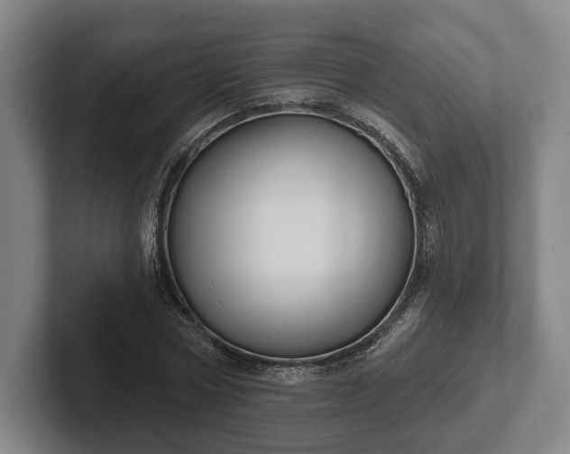 X0000102460778200808151406