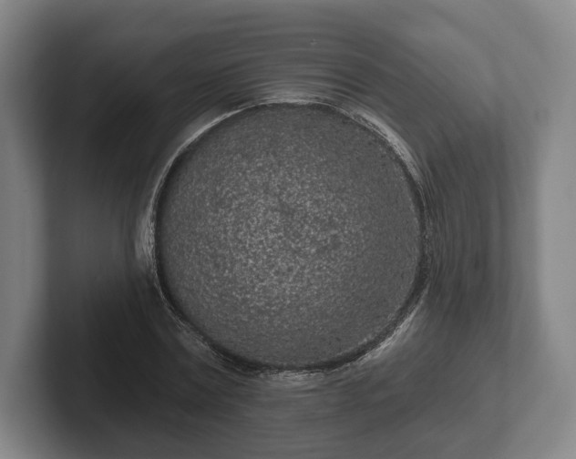 X0000102460779200808151406