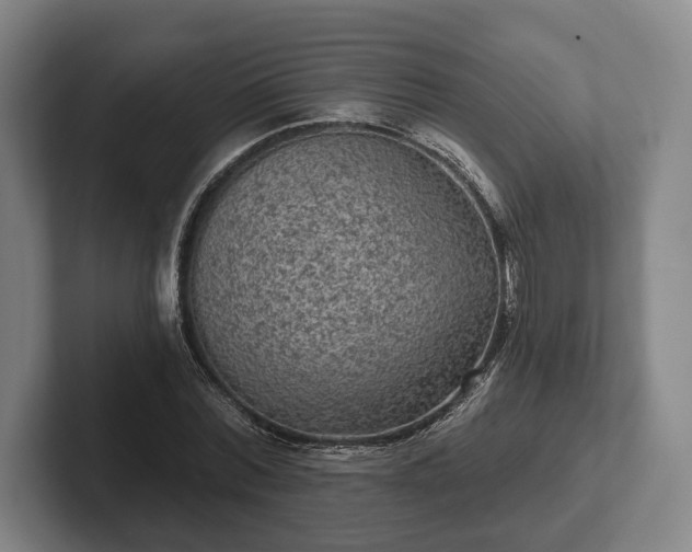 X0000102460780200808151406