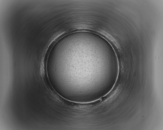 X0000102460782200808151406