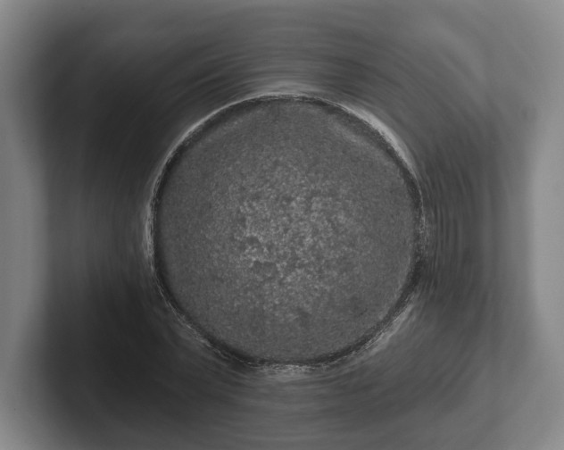 X0000102460783200808151406