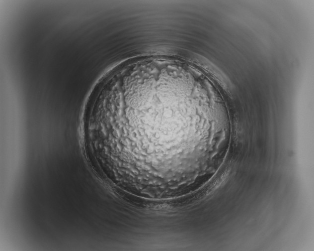 X0000102460784200808151406