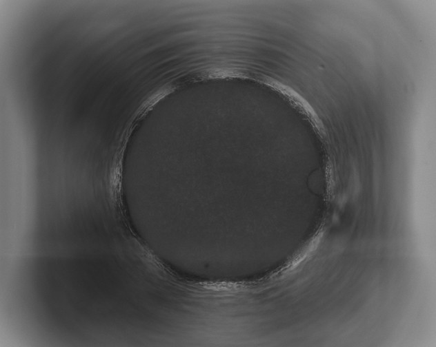 X0000102460785200808151406