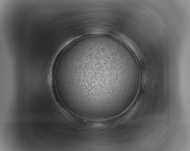 X0000102460787200808151406