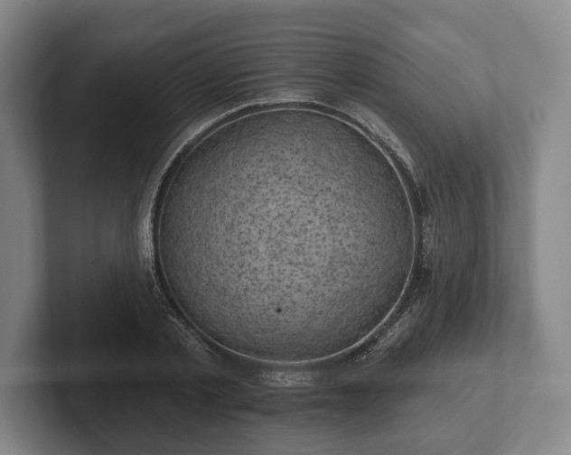 X0000102460789200808151406