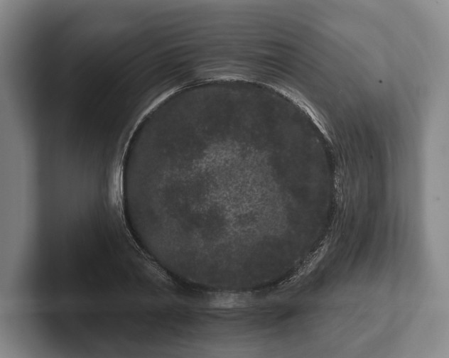 X0000102460790200808151406